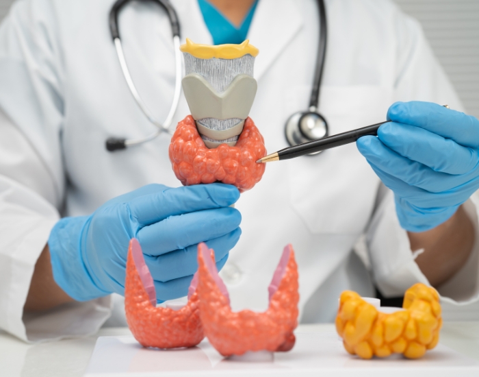 Symptoms of Thyroid Problems in Women & Men: Signs You Should Not Ignore